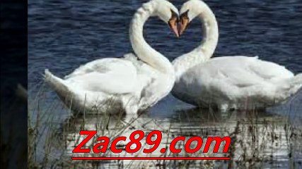 메이저리그토토 ≡￥≡  Zａｃ８９.ｃｏm ≡￥≡  인터넷배팅 사설토토