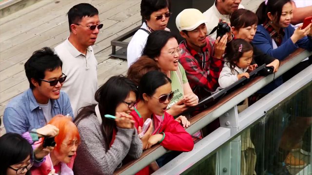 Extreme Bungy Jumping with Cliff Jump Shenanigans! Play On in New Zealand! 4K!