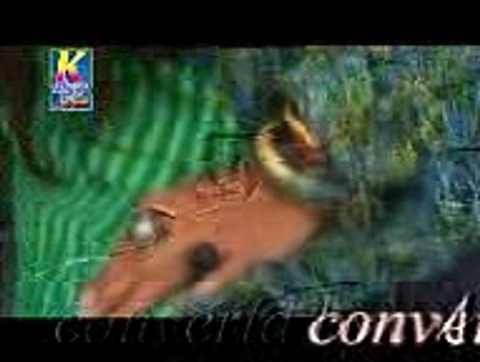 ghum dard soor sadma