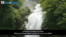MUST WATCH THIS Allah Gives Us Chances ᴴᴰ - Mufti Menk.