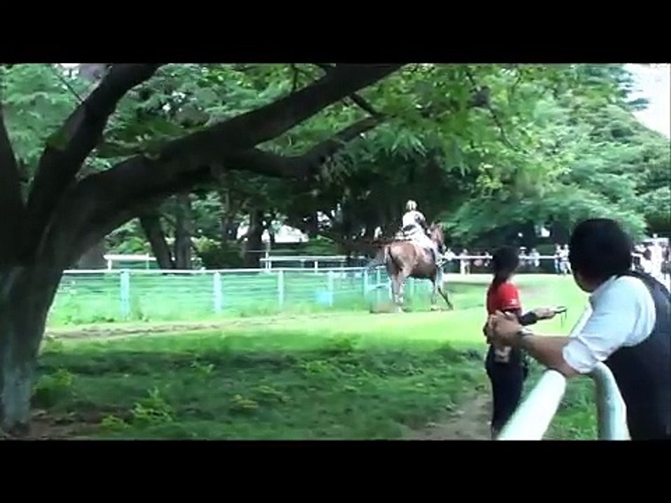 H24　関東学生　総合馬術競技　耐久審査　3年　柿澤小夜子　桜鶴