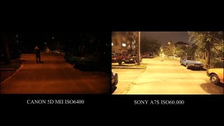 Canon 5D MII vs Sony A7s