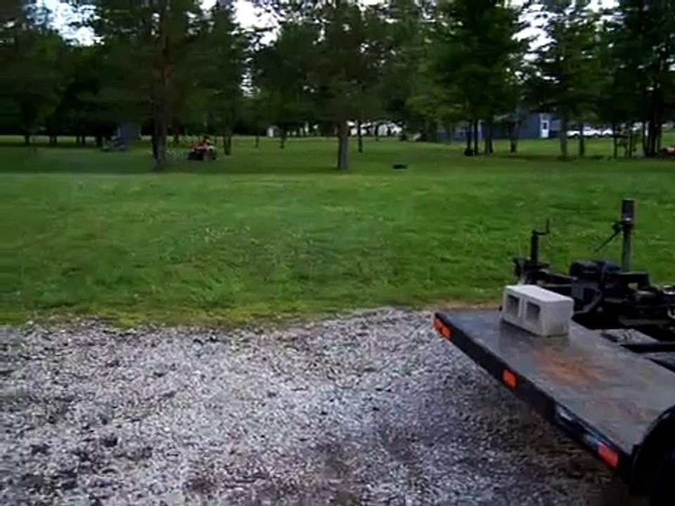 Pitbull chasing RC car