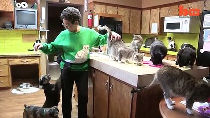 Ultimate Cat Lady- Woman Shares Her Home With 1,100 Felines