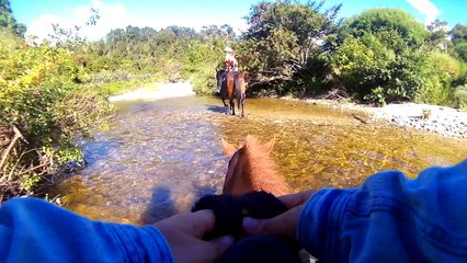 Trip Nouvelle Zélande