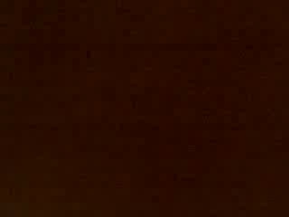 Webcam 1180879596890