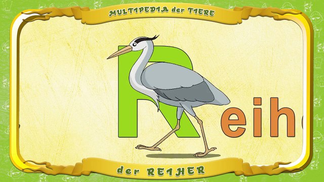 Multipedia der Tiere. Buchstabe R der Reiher