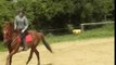 Transition galop trot