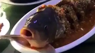 Fish alive after Fry on customer table in hotel