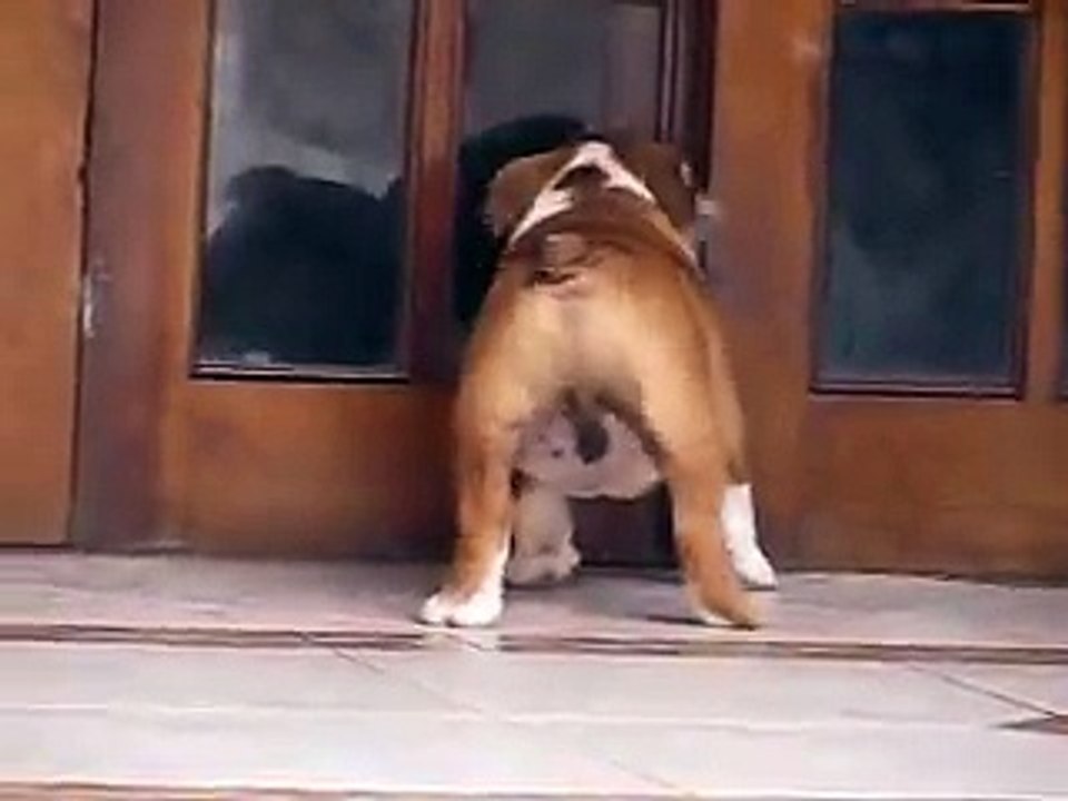 KENAN DE LA BONNE VIE