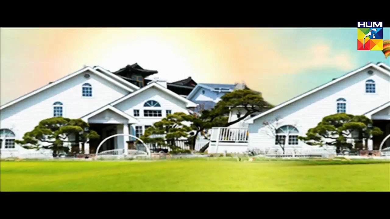 Mr Shamim Episode 41 HUM TV Drama 26 Dec 2015