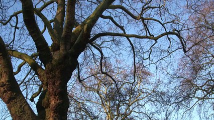 Rear Window: Forgotten Histories - Revolutionary Exiles of 1848