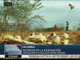 Colombia: niños wayúu siguen muriendo a causa de la desnutrición