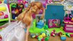 Frozen Elsa Shopkins Season 2 Disney Frozen Kids Alex Shopping for Surprise Shopkins Toys