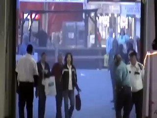 Eight Haflinger Hitch Freestyle