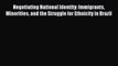 Read Negotiating National Identity: Immigrants Minorities and the Struggle for Ethnicity in