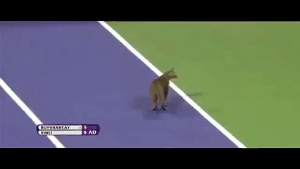 Çağla Büyükakçay'ın maçında şoke eden olay!