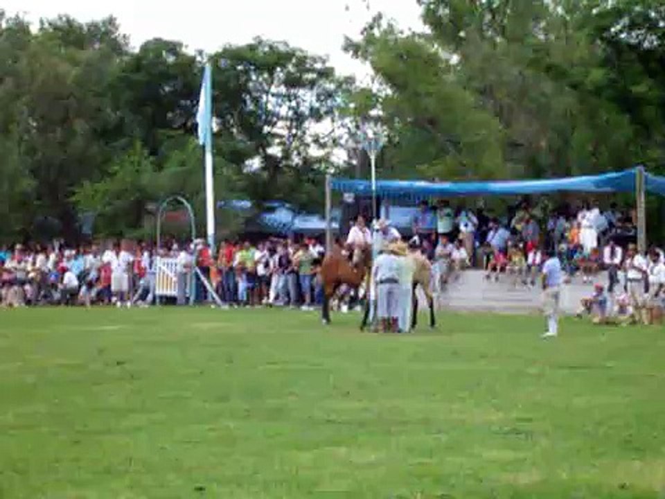 Potros crines al viento!