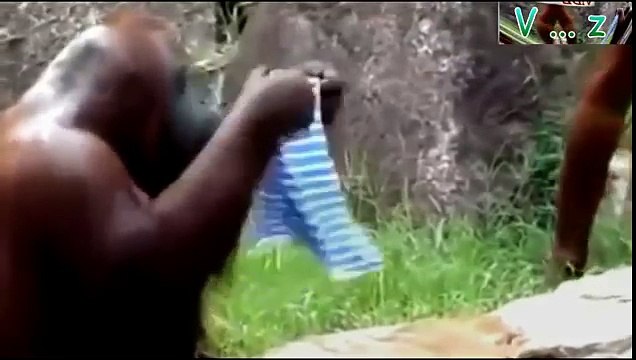 FunnY Pet Dog Humping/Mating a Girl Funny Videos Fails 2015 Youtube