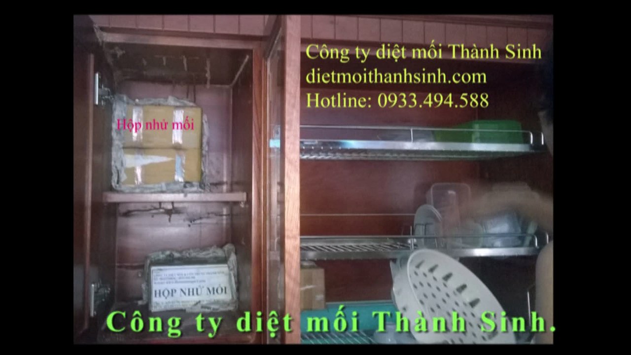 Diệt mối tận gốc tại quận 1