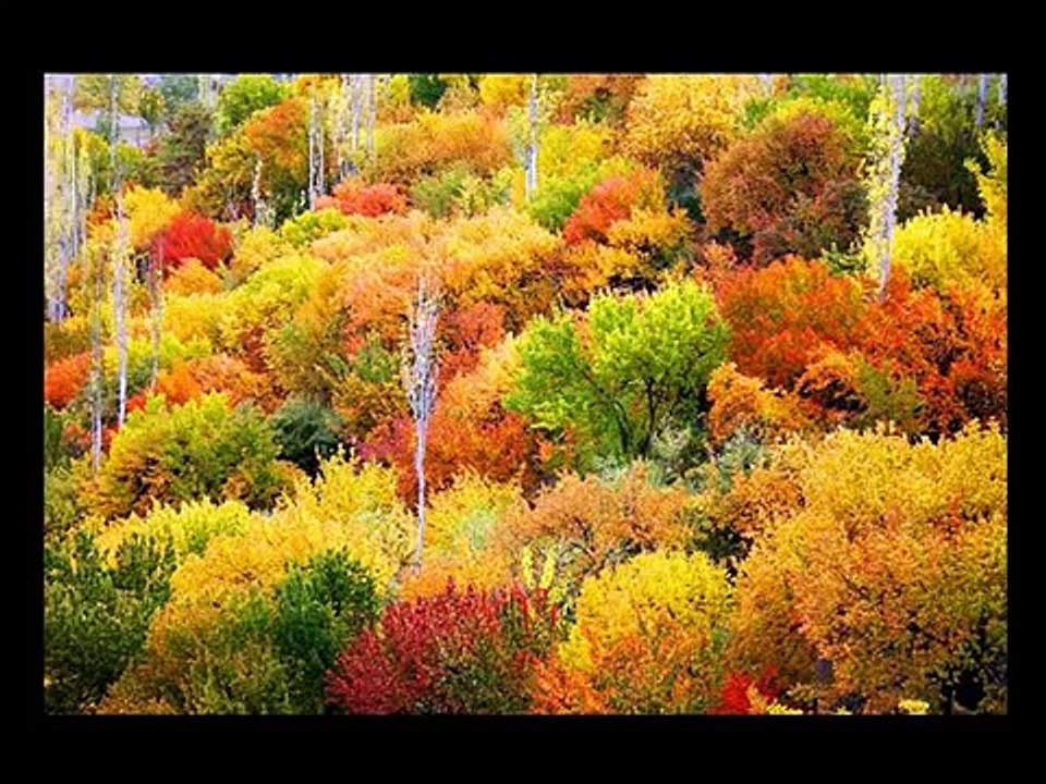 ~^~ PicS Collecte: Lost horizon... ~^~