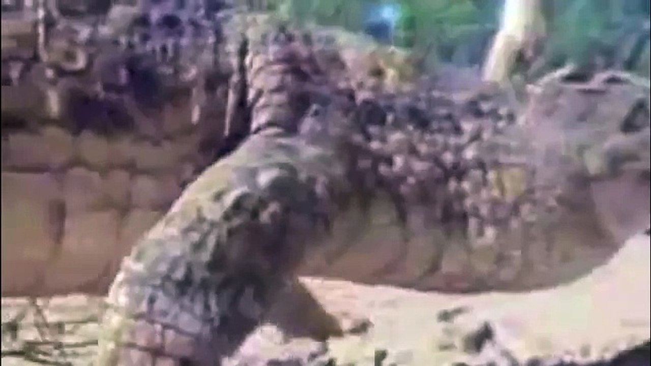 How to Make Methamphetamine