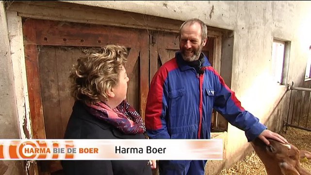 Het Weer: Harma bie de boer [24-2-2016] - RTV Noord