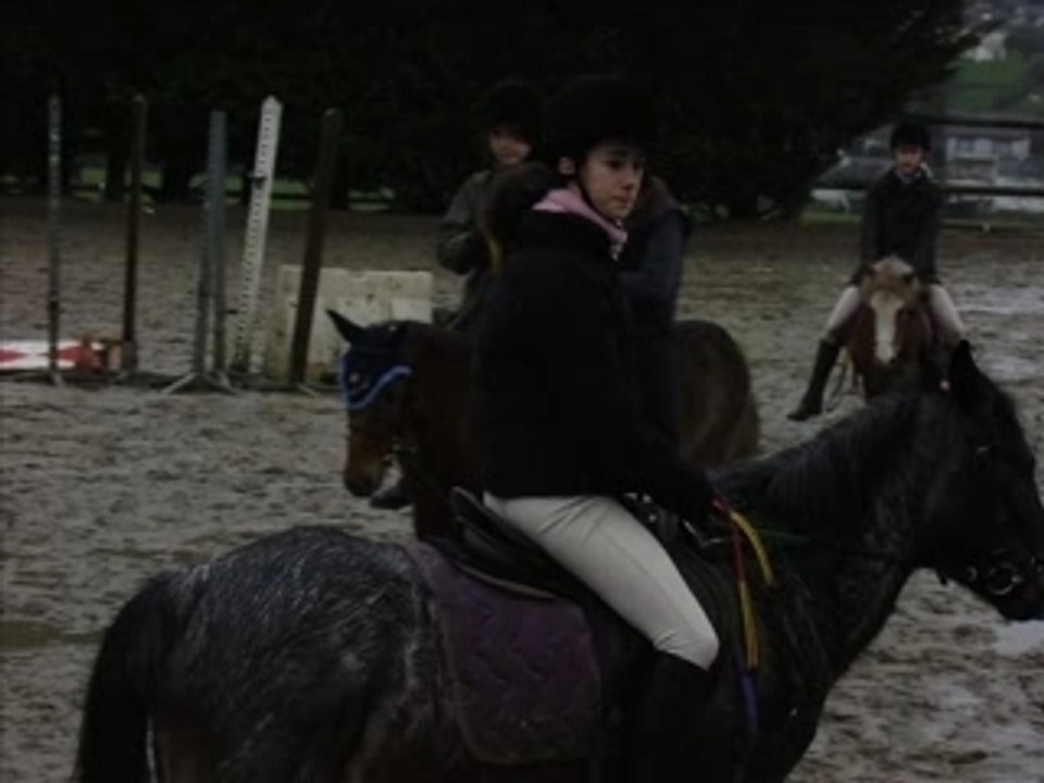LS CHEVAUX, MA PASSION ...