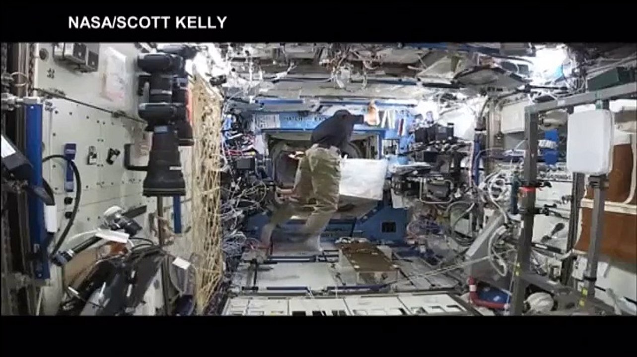 El gorila espacial que aterroriza a un astronauta