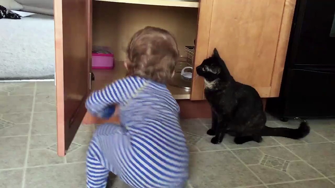 Quand le chat de la maison se débarrasse d'un bébé gênant!