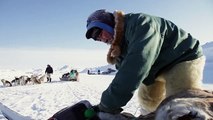 Dog Sledding in Greenland