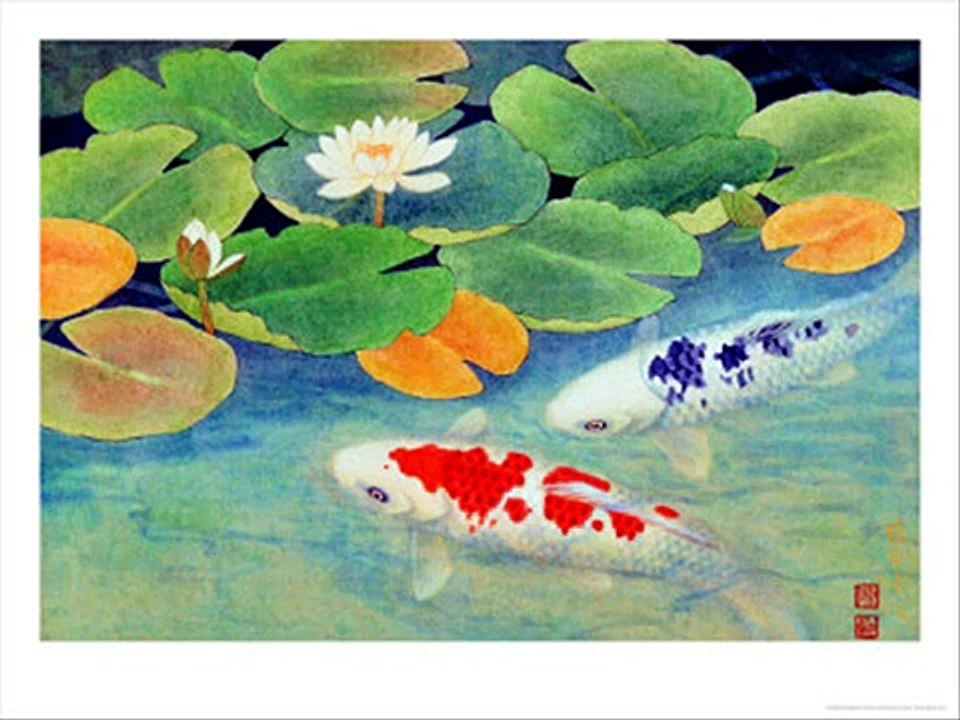 Koi Fish Drawings Slideshow