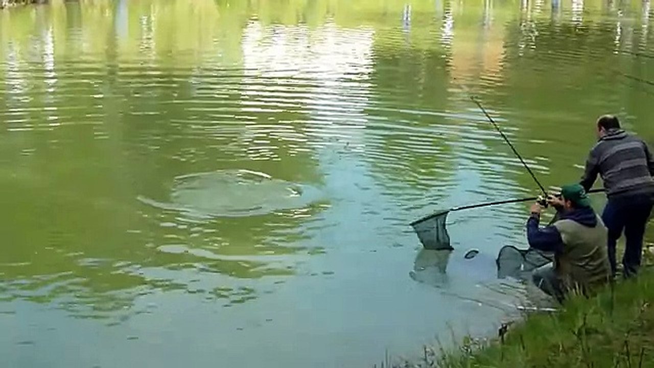Рыбалка в платном водоёме, ловля форели