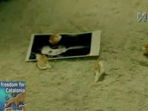 David Bisbal - Llorare Las Penas