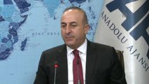 Çavuşoğlu: 