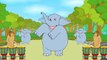 Baby Elephant - English Nursery Rhymes - Cartoon/Animated Rhymes For Kids