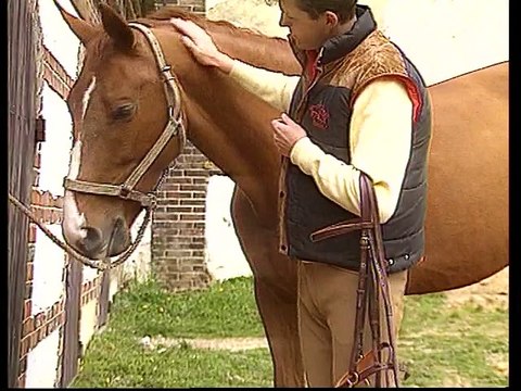 Galops 1 et 2 : Programme pour les cavaliers débutants