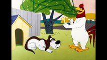 Looney Tunes - Daffy Duck Prank - cartoon network
