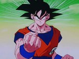 Dragon Ball Z - La rabia de Son Goku