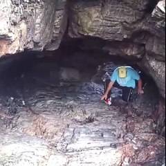 Bug Cave