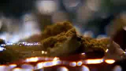 Aishwarya rai Navel exposure while wearing saree