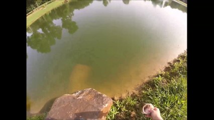 Very big bass on the pond watch one of the best video