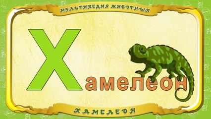 Мультипедия животных. Буква Х Хамелеон