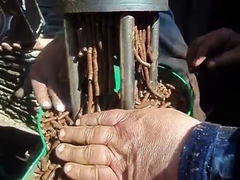 Macchina pellettatrice [prototipo] produzione 50 kg-h PELLET Wood Pellets, Biomass