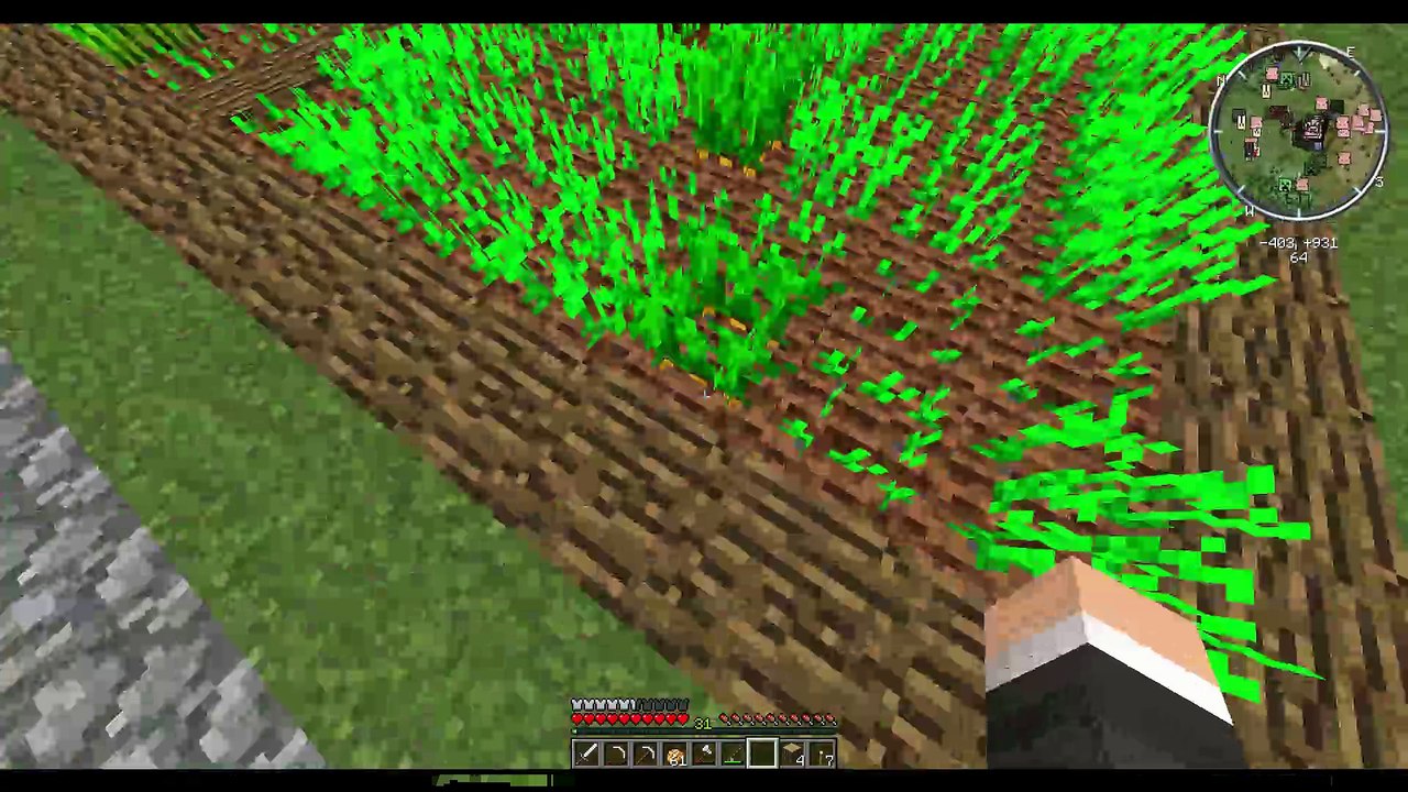 Minecraft Farmen #29