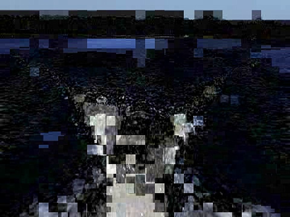 Crossover Nautique 216 Wakes