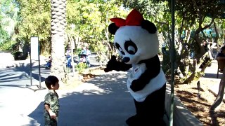 San Diego Zoo Panda Mascot