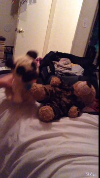 MINI MIRANDA MEETS MIRANDA SINGS