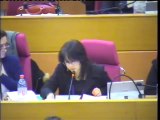 Thi Hong Chau Van - Soutien aux minorités ethniques et religieuses au Moyen-Orient - Conseil régional du 19 février 2016