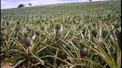 Bilmediginiz 9 ilginç bilgi